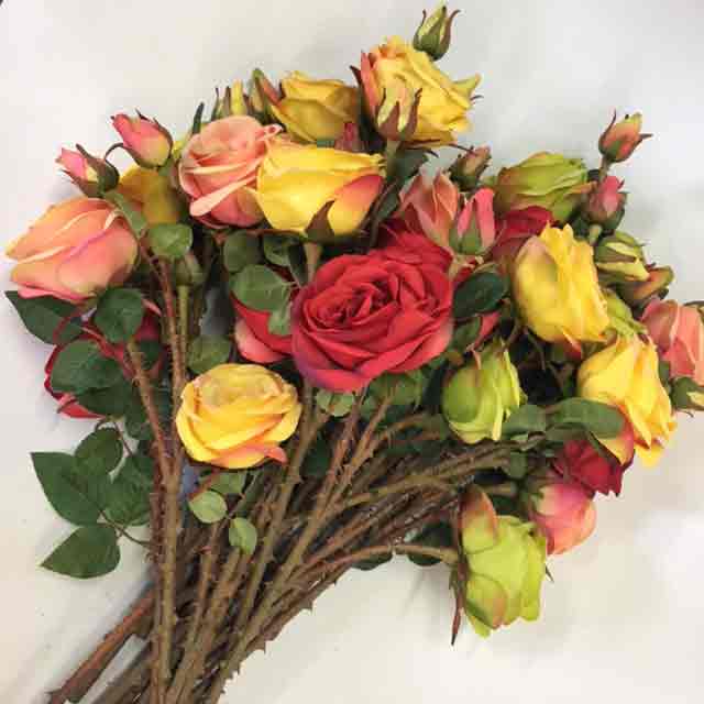 FLOWER, Rose Stem Premium